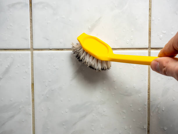 Best Residential Mold Removal  in Eastland, TX