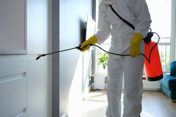 Best Professional Mold Removal  in Eastland, TX