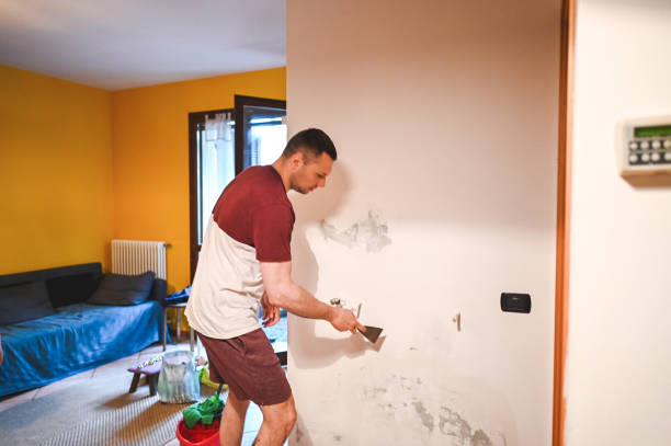 Office Mold Removal Services in Eastland, TX