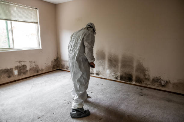 Best Home Mold Removal  in Eastland, TX